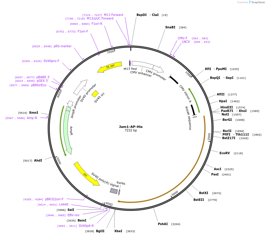 131138_map