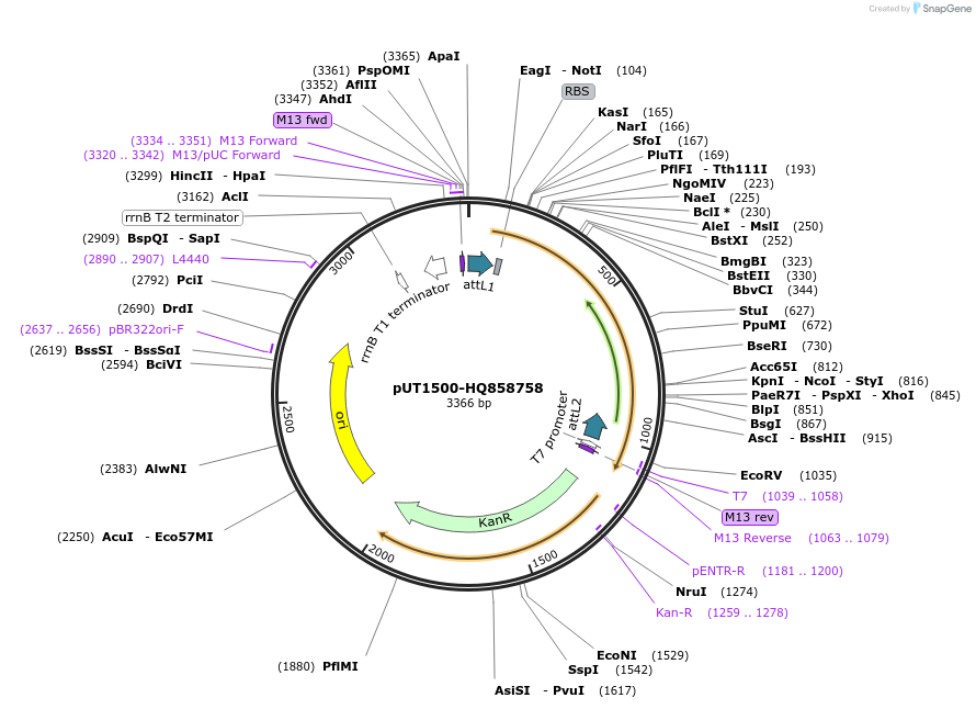 13114_map