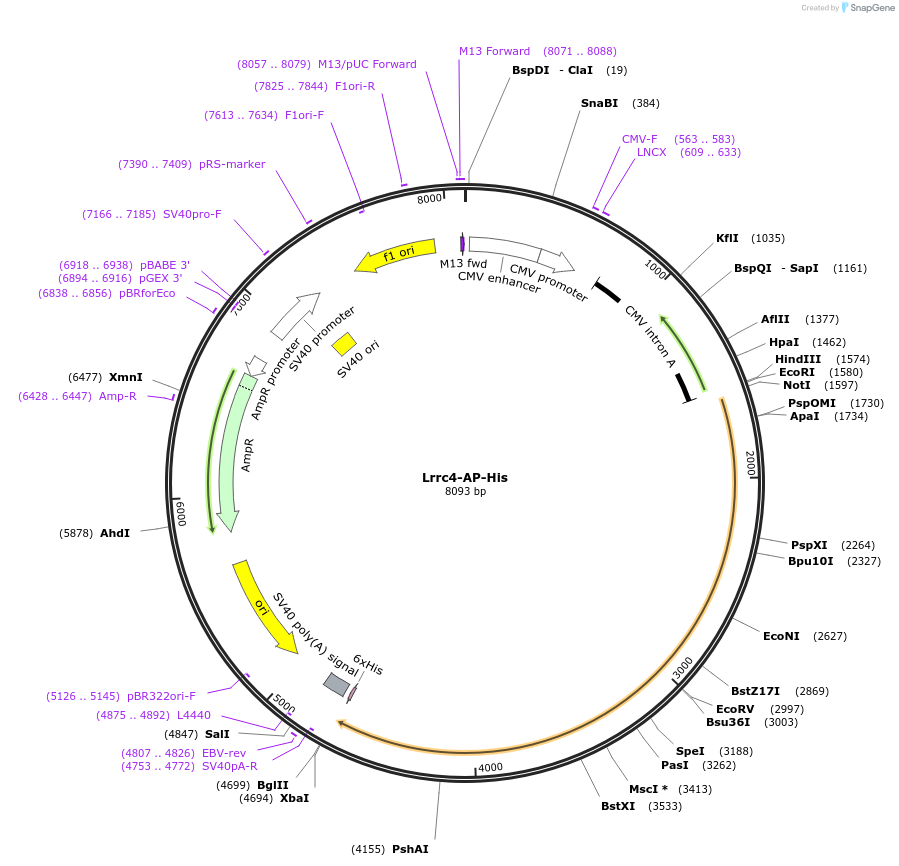 131144_map