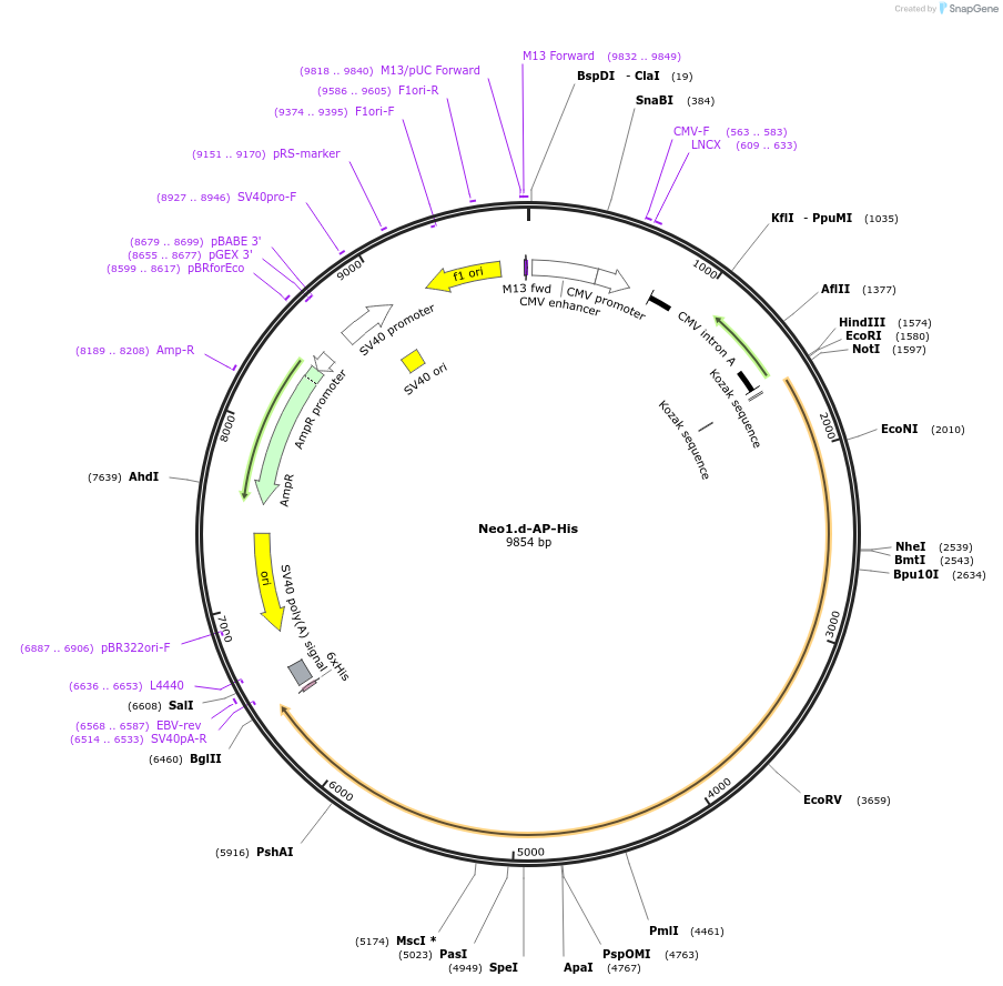 131152_map