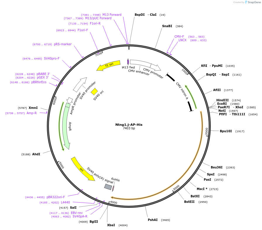 131179_map