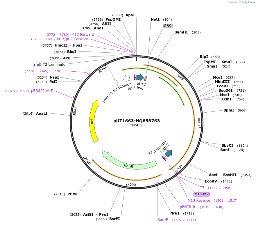 13119_map