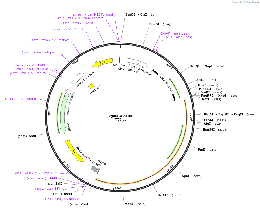 131193_map