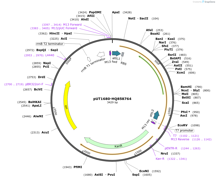 13120_map