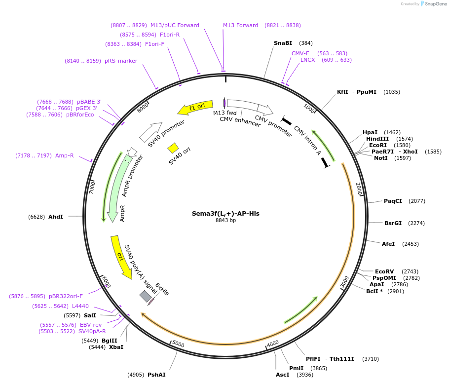 131207_map
