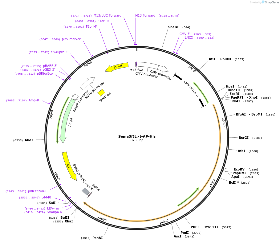 131208_map