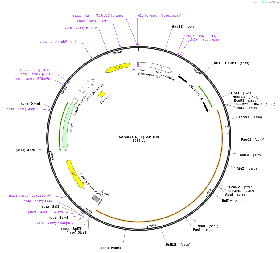 131209_map