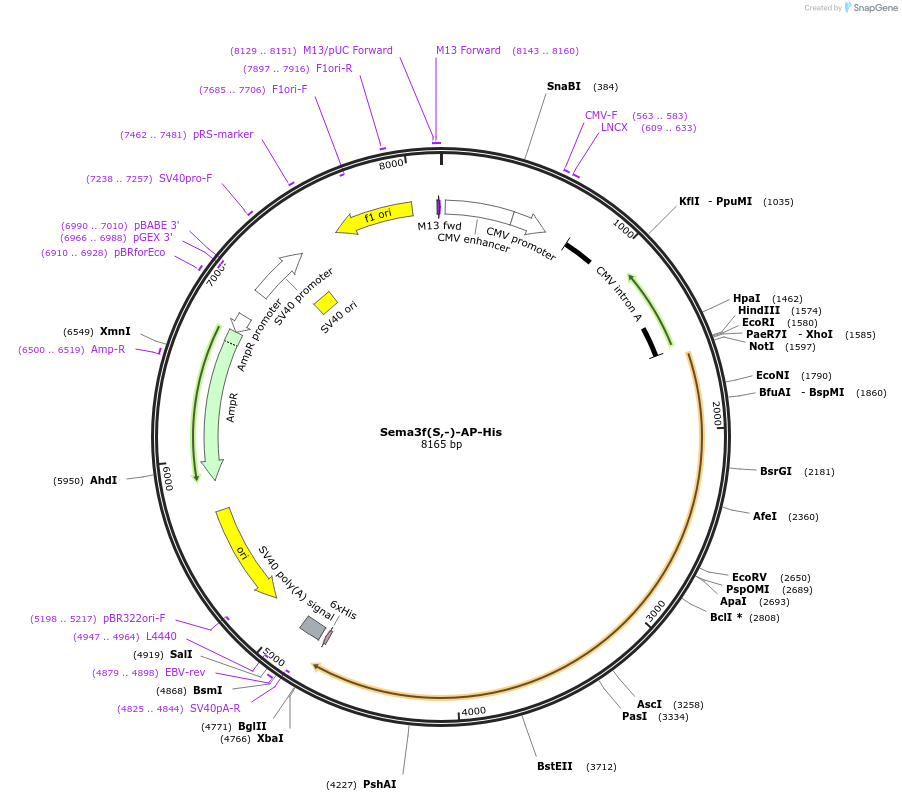 131210_map