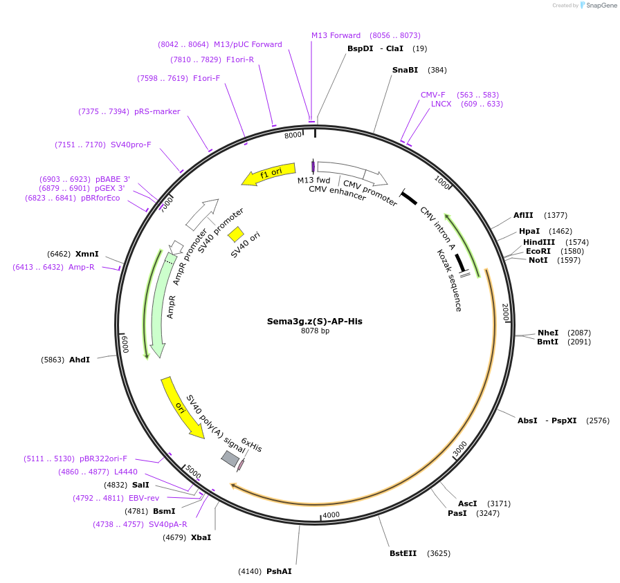 131213_map
