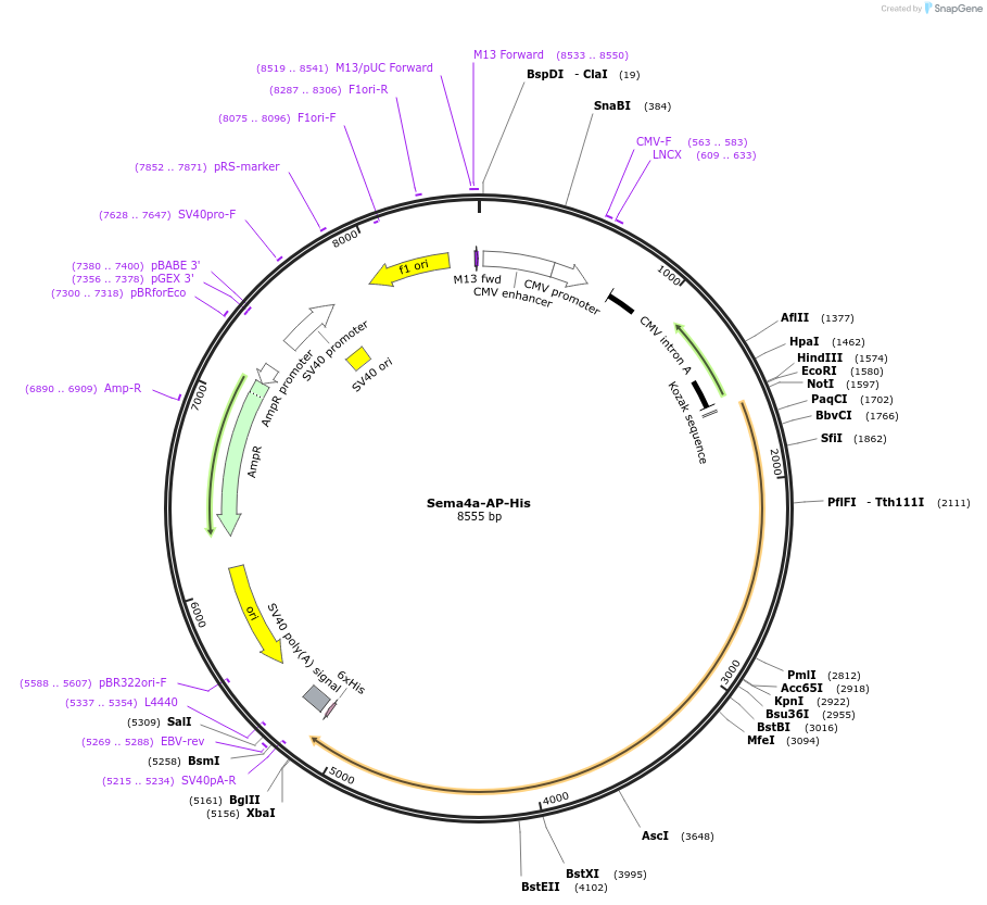 131214_map