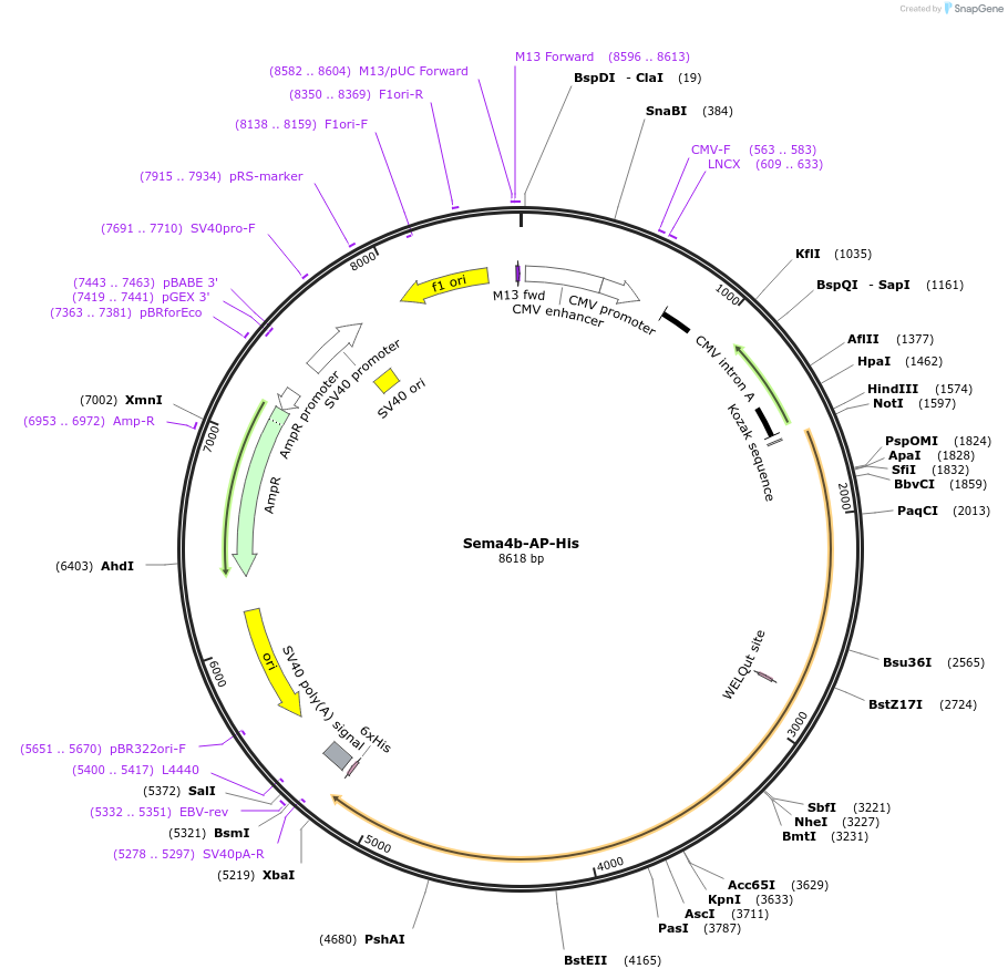 131215_map