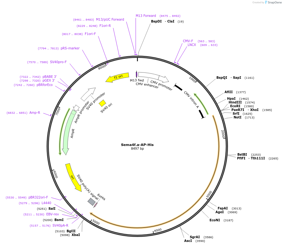 131218_map