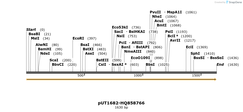 13122_map