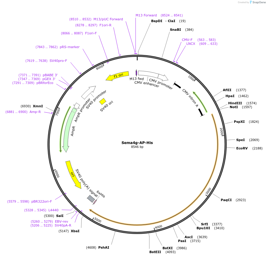 131220_map