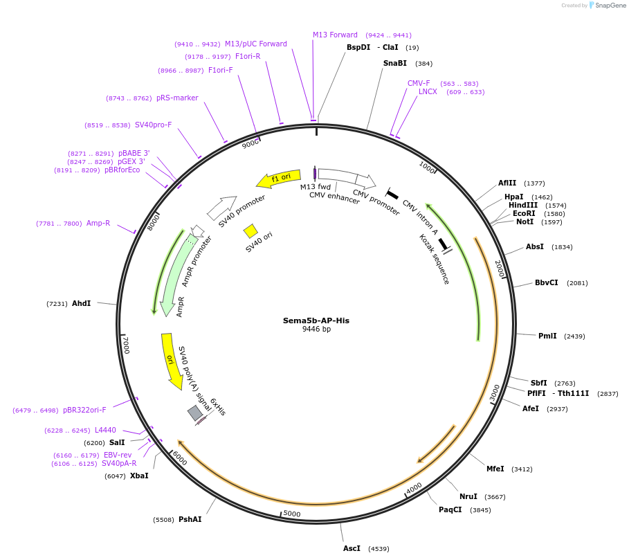 131222_map