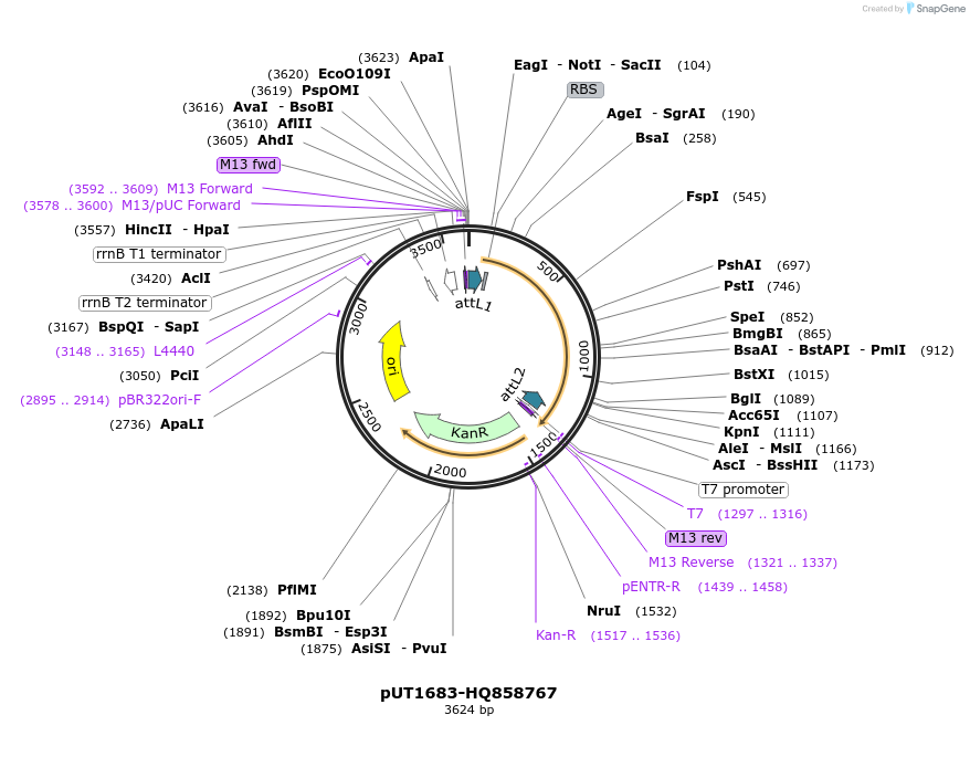 13123_map
