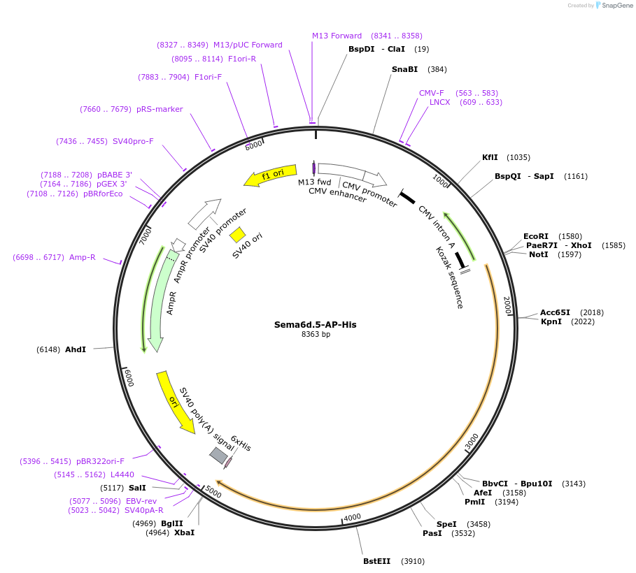 131231_map