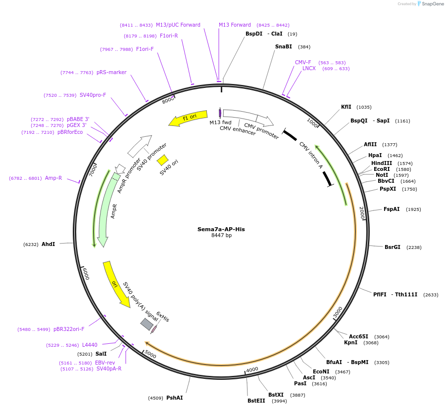 131235_map