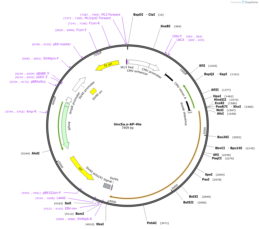 131237_map