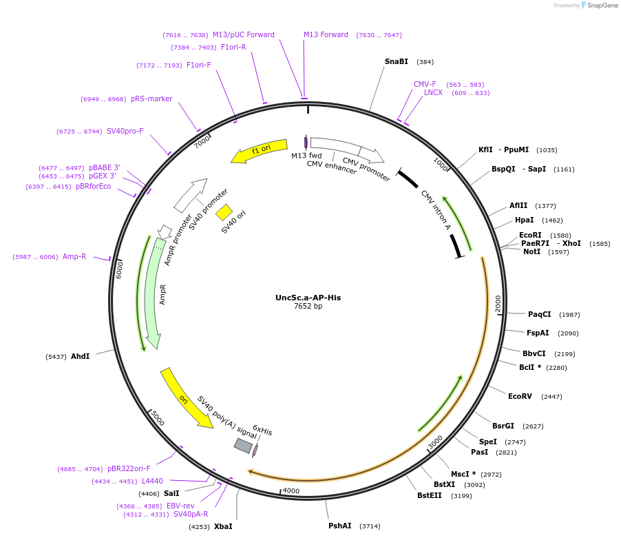131240_map