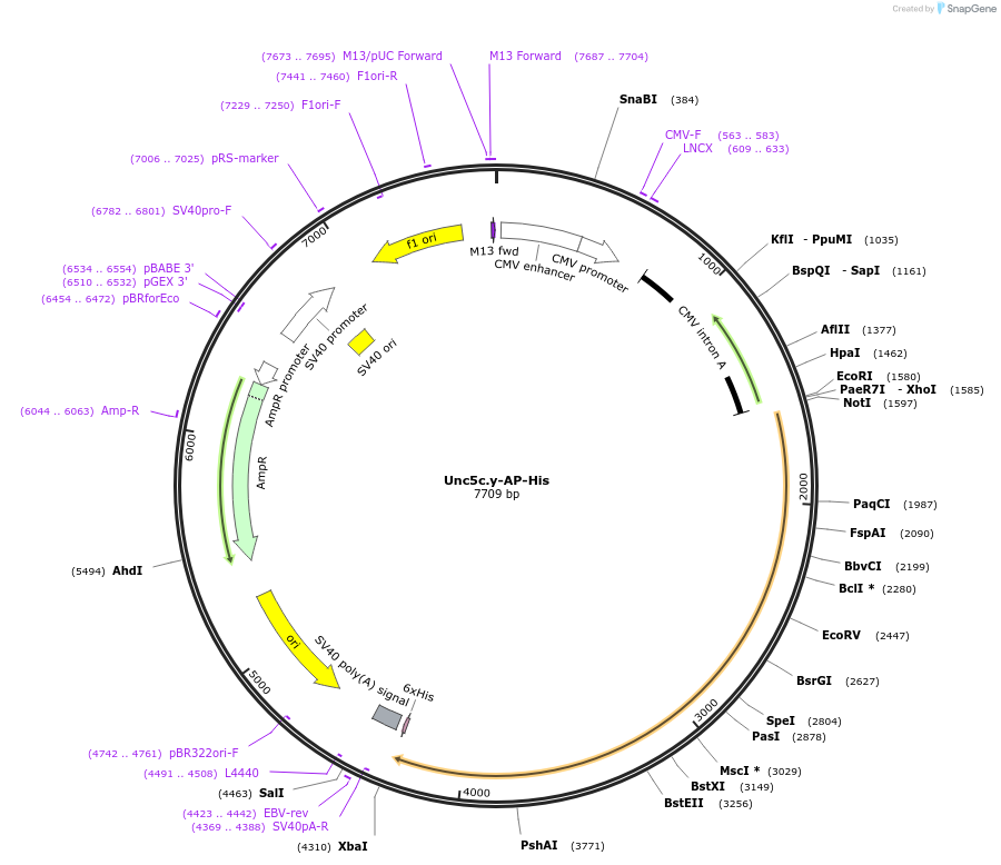 131241_map