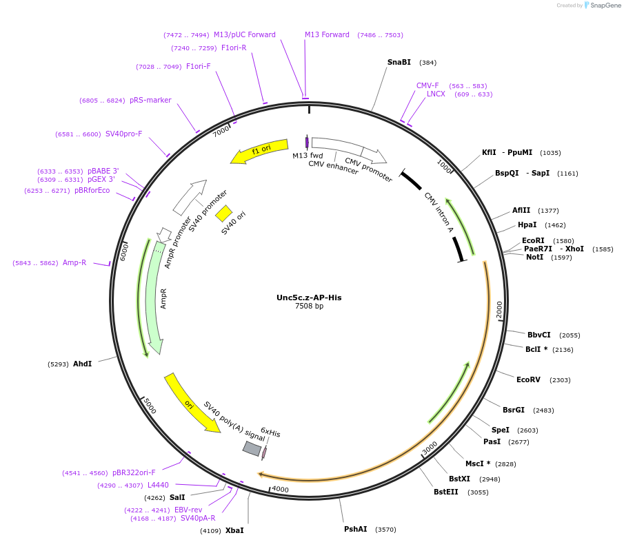 131242_map