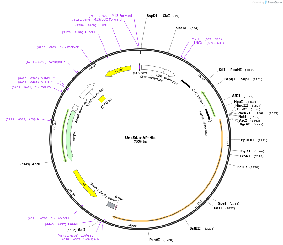 131243_map