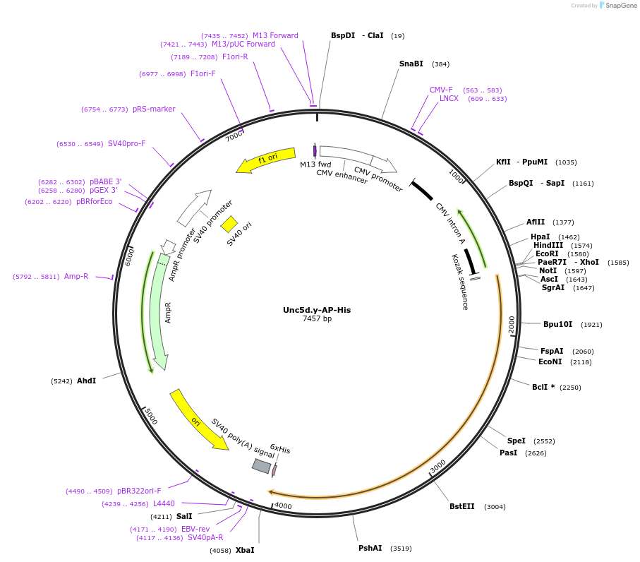 131244_map