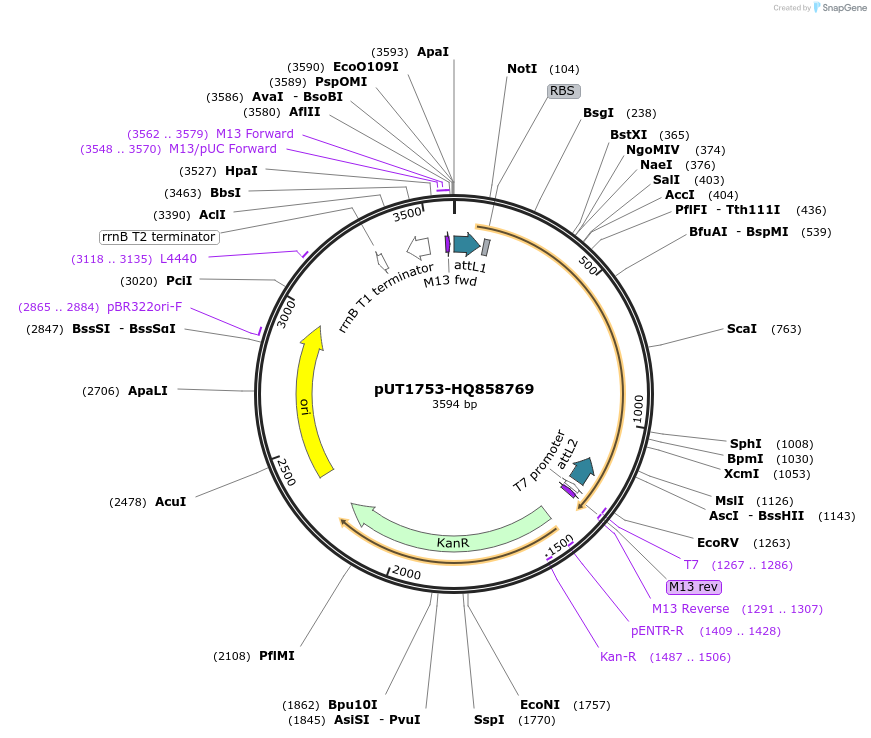 13125_map