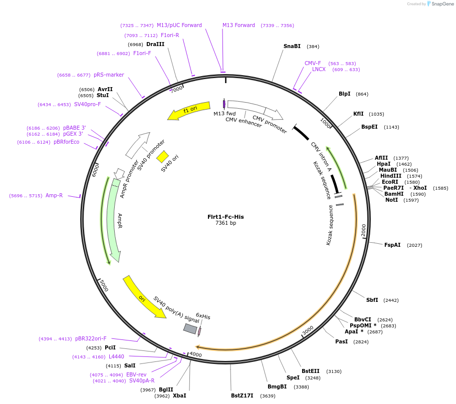 131259_map