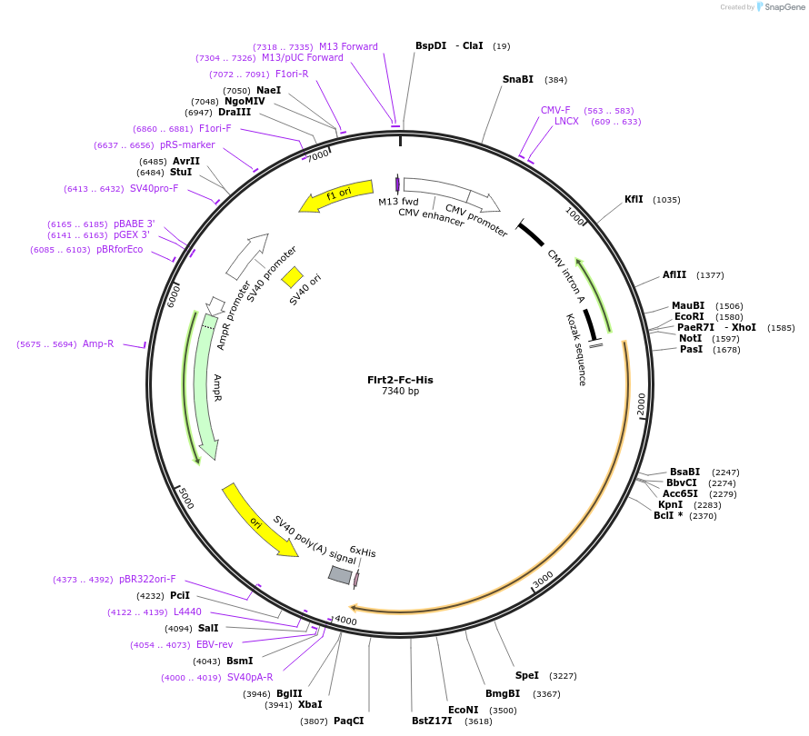 131260_map