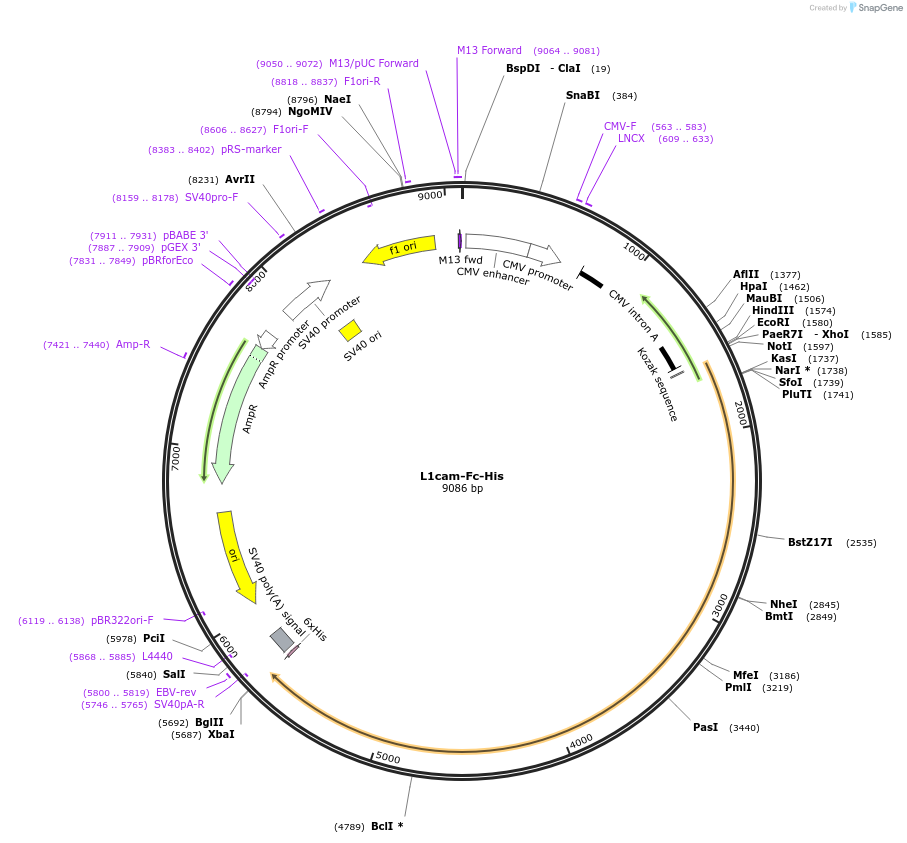 131269_map
