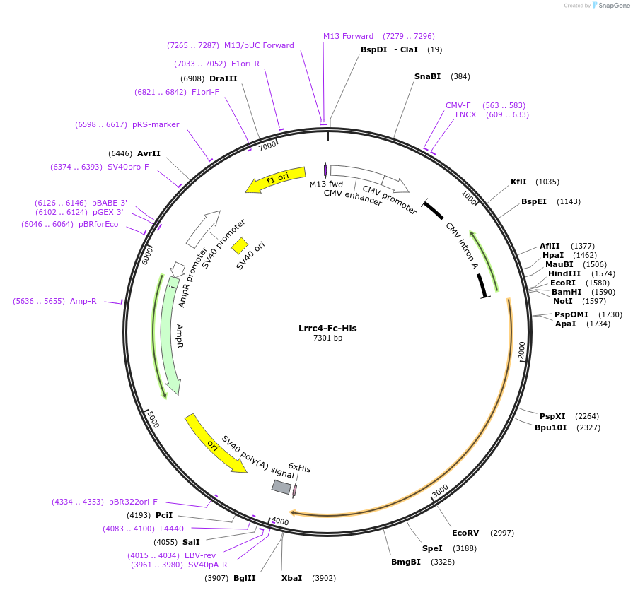 131270_map