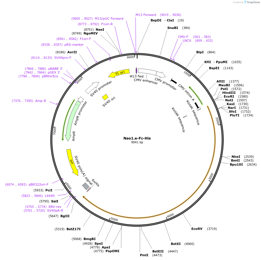 131279_map