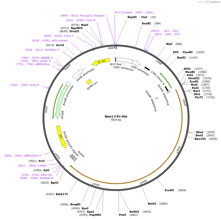 131280_map