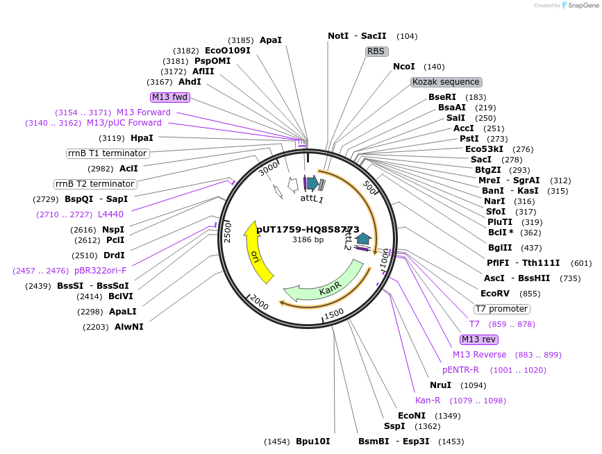 13129_map