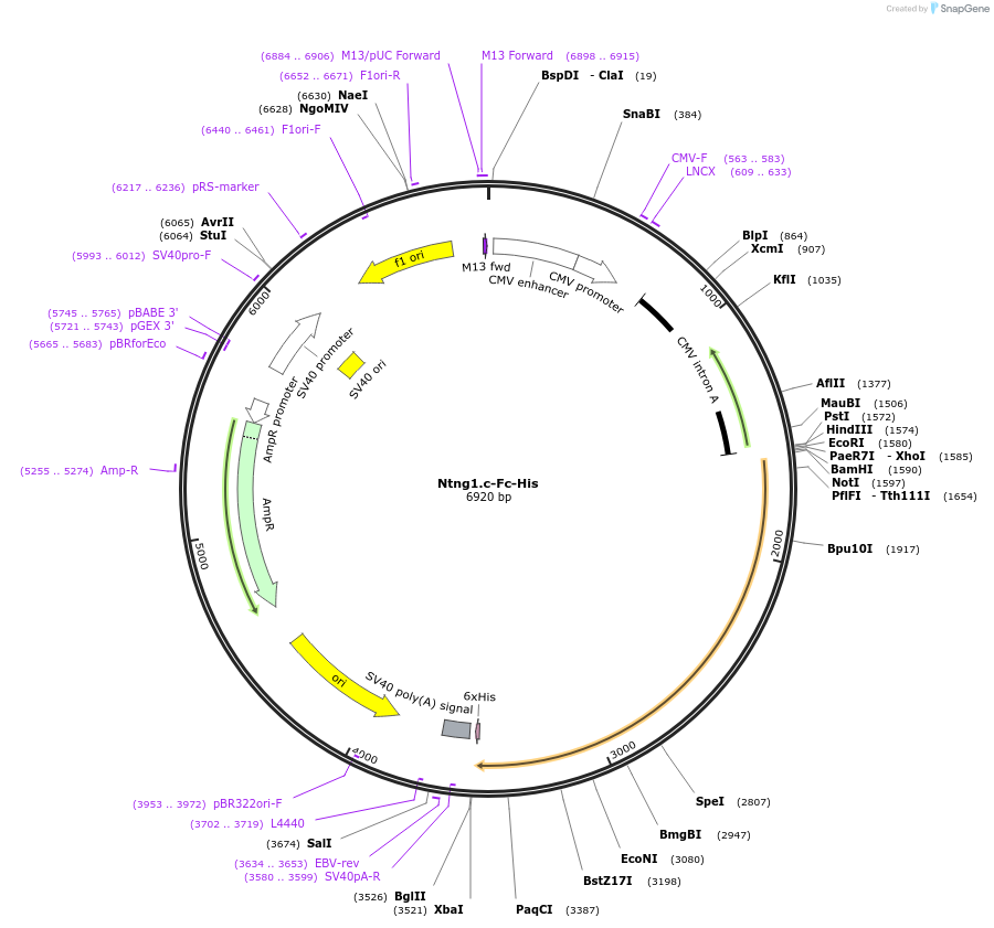 131298_map
