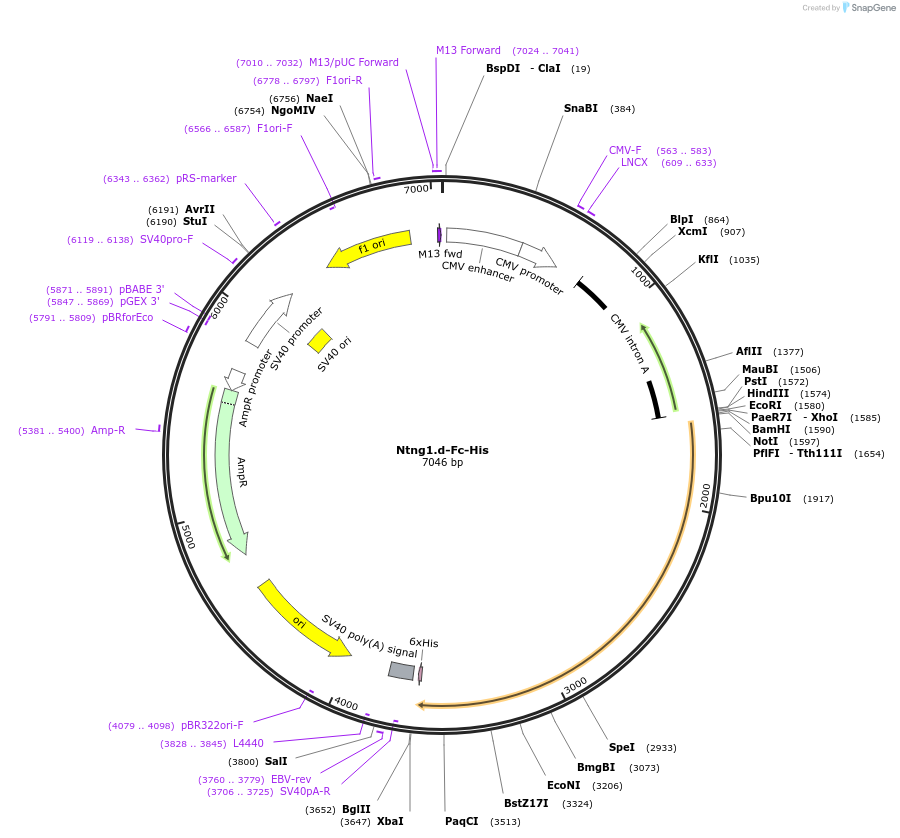 131299_map