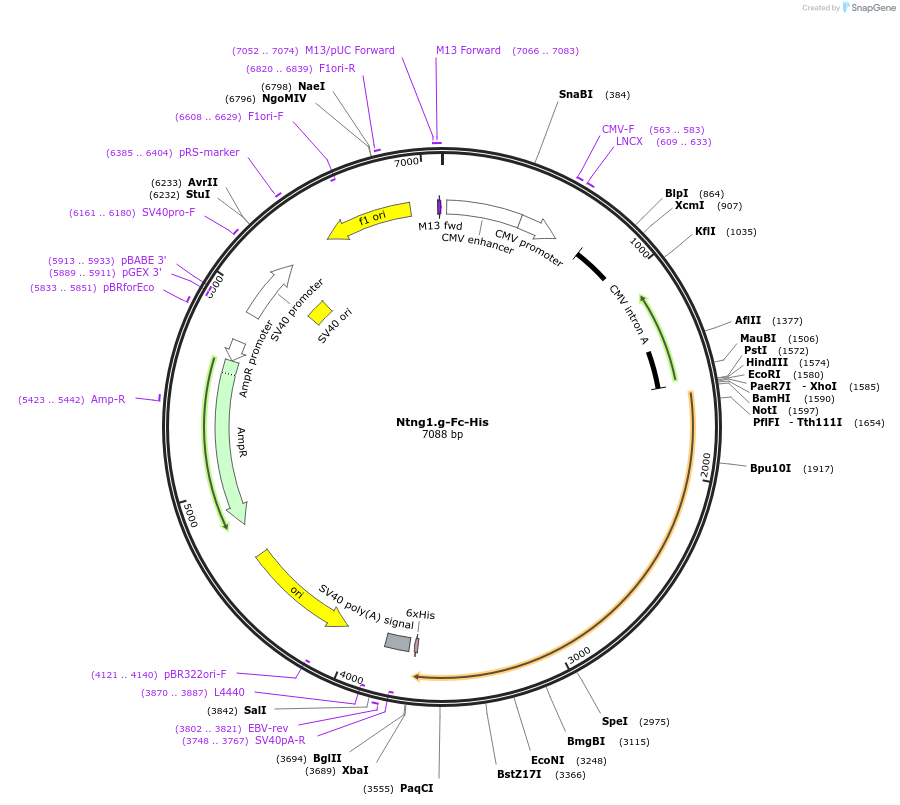131302_map