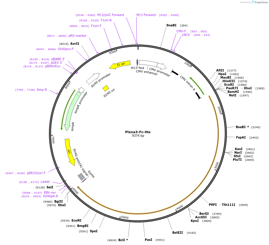 131310_map