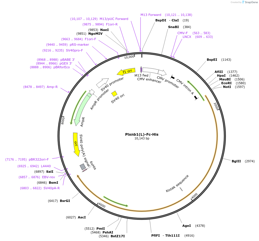 131312_map