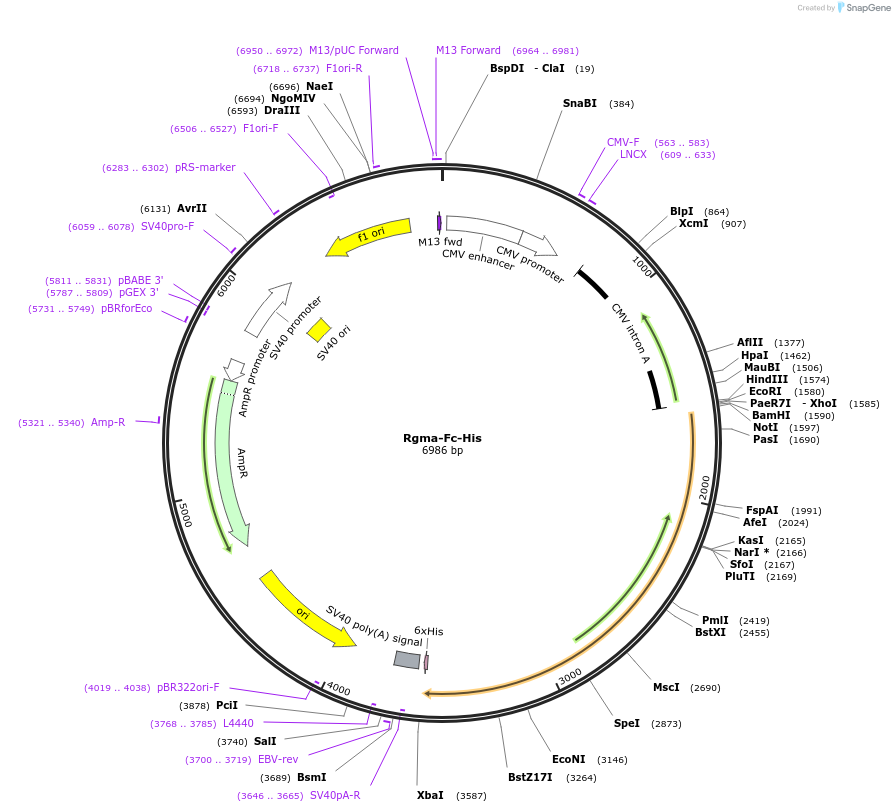 131319_map