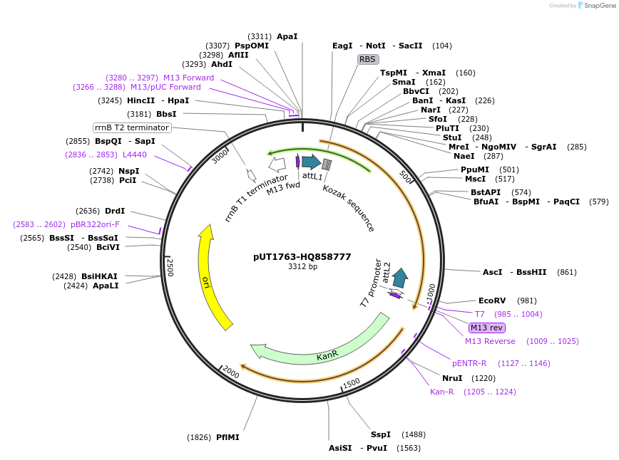 13133_map