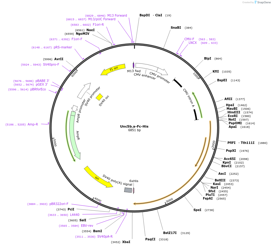 131364_map