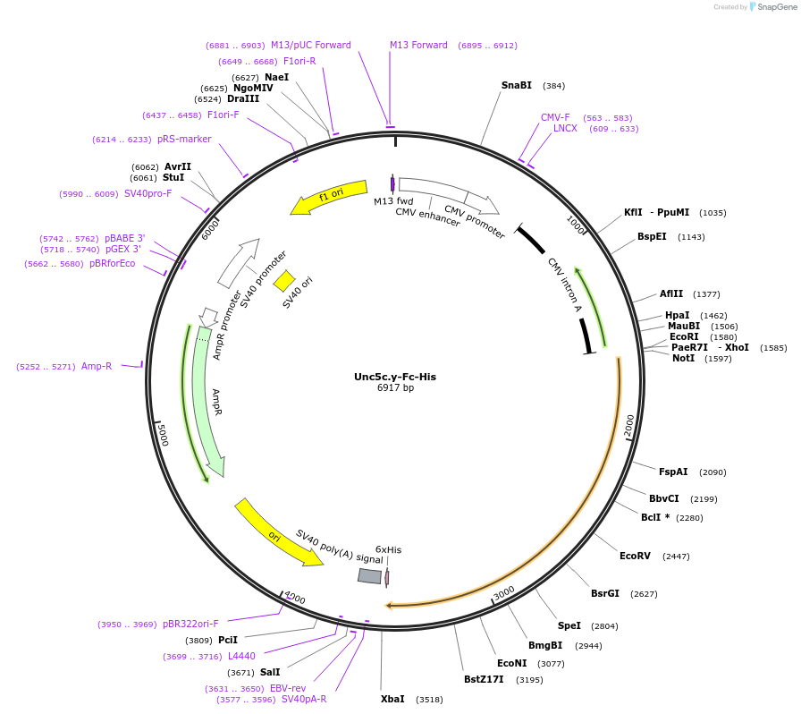 131367_map