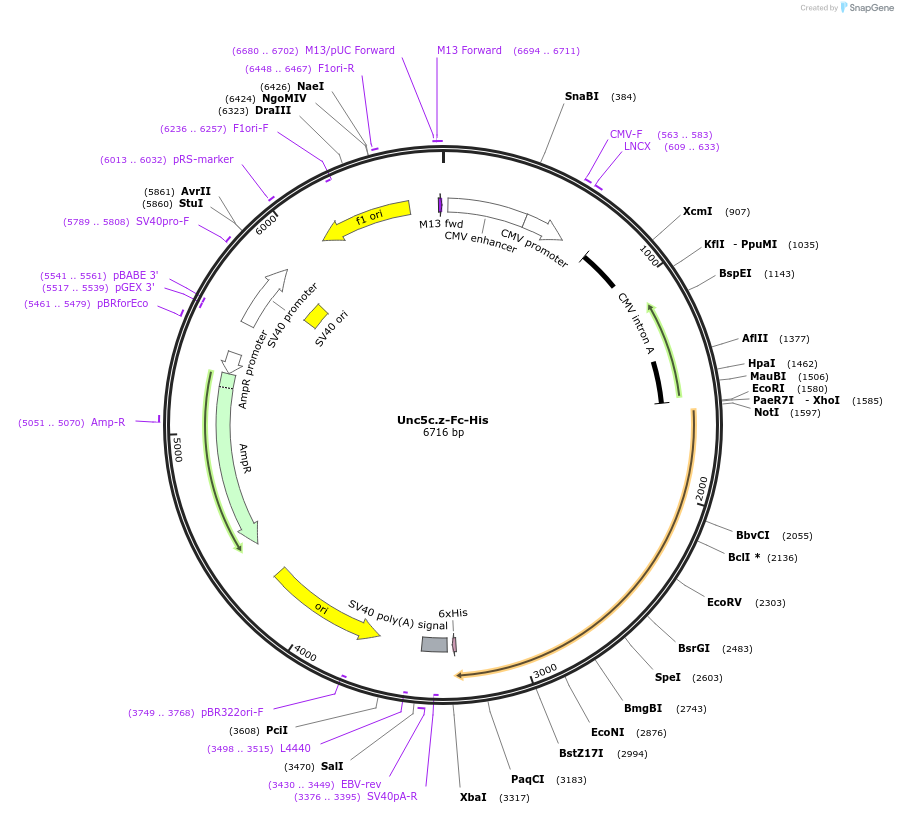 131368_map