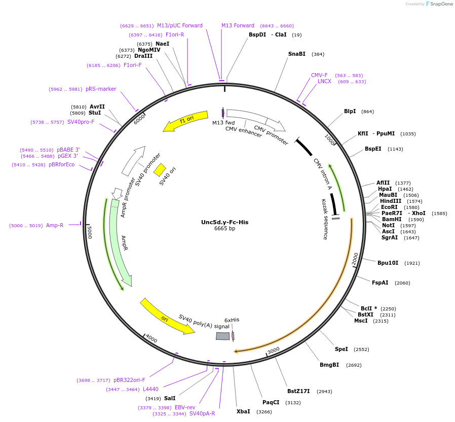 131370_map