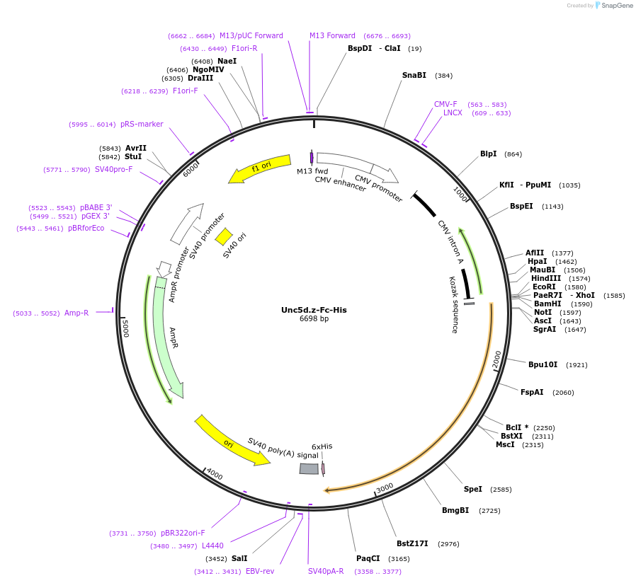 131371_map