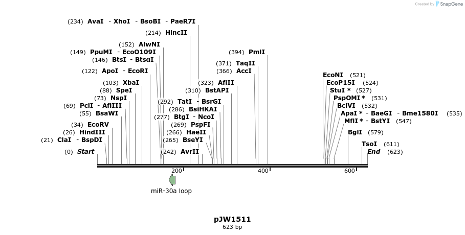 131385_map