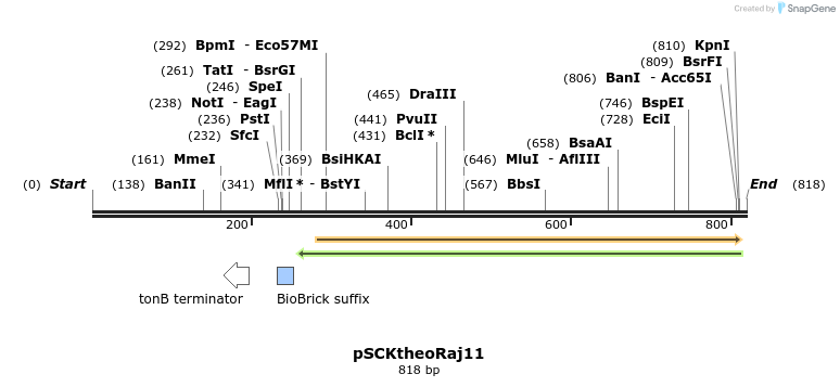 131390_map